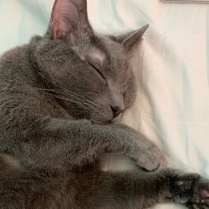 Meet your Posher, Beth